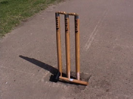 Another Vigoro Wicket