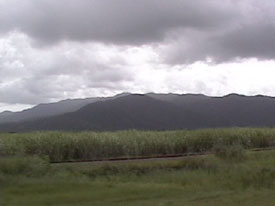 Cane and Clouds