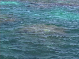 Great Barrier Reef