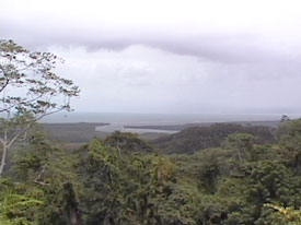 Mouth of the Daintree