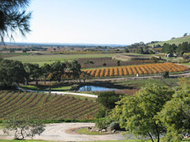 Barossa Valley