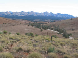 Wilpena Pound valley