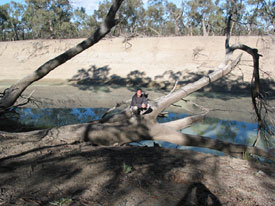 truk at the Darling River