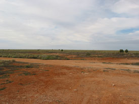 Nullarbor Plains