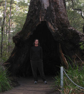 Valley of the Giants