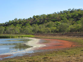 Billabong Algae