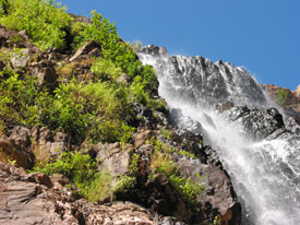 Twin Falls with Plants