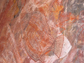 Aboriginal Art - X-Ray Fish