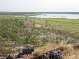 Nardab Floodplain