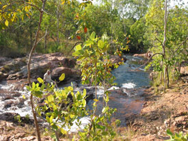 Buley Rockhole