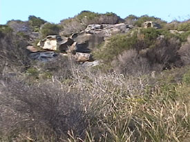 Brush and cliff rocks