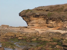 Grass over cliff