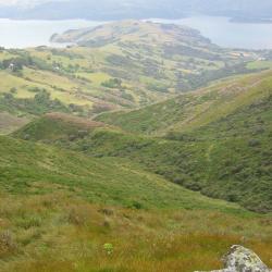 Akaroa