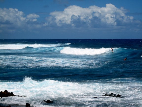 Surfers at Puna