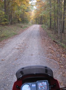 Forest Road