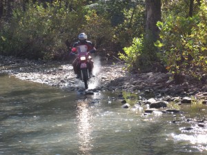 Scottie Makes a Run at the Creek