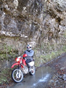 Scottie Under the Waterfall