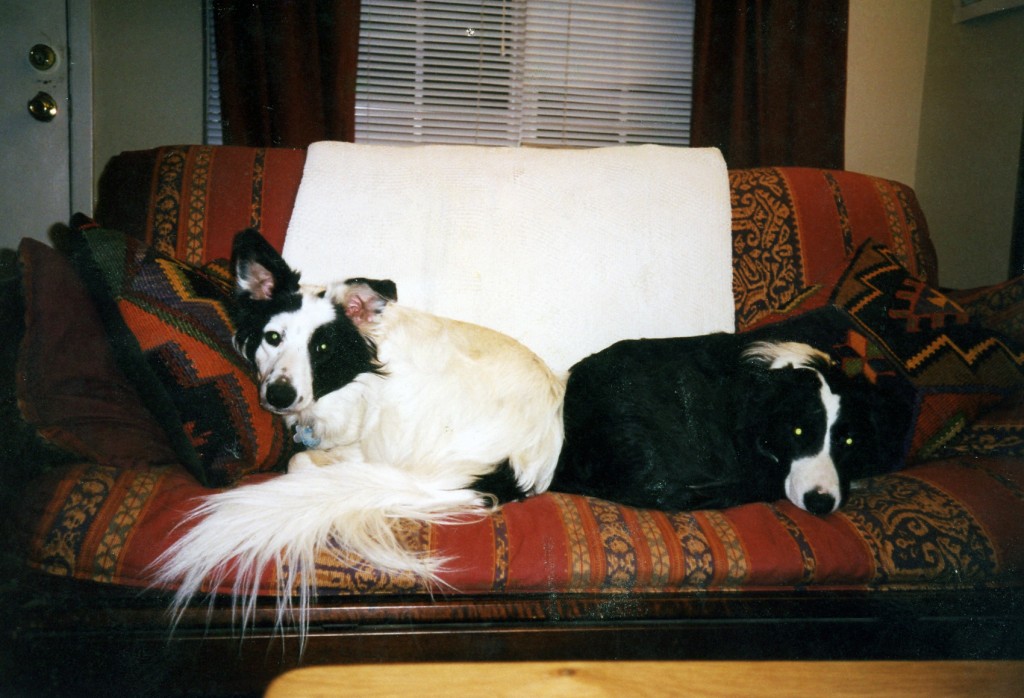 19980600_mazzy_jake_couch